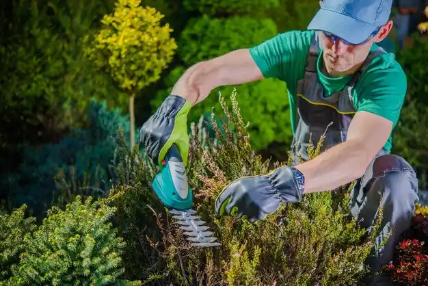 landscaping services Osmond